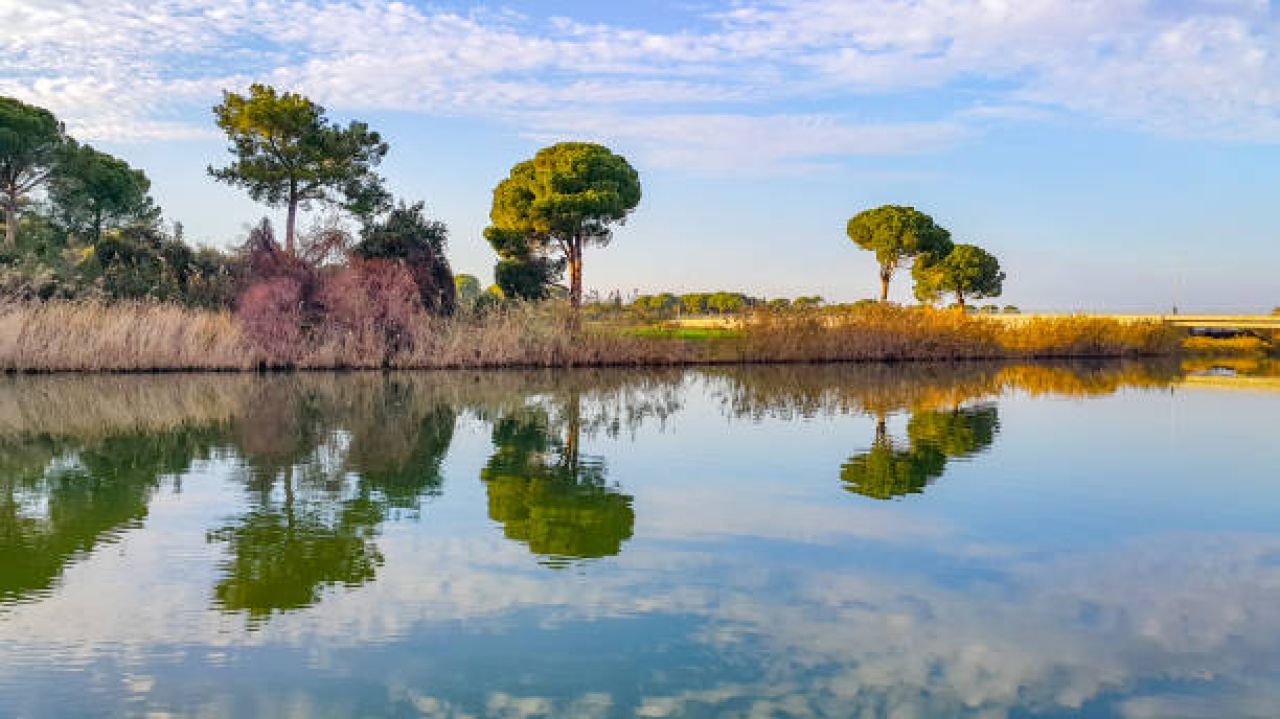 Antalya Lara transfer profesyonel hizmet