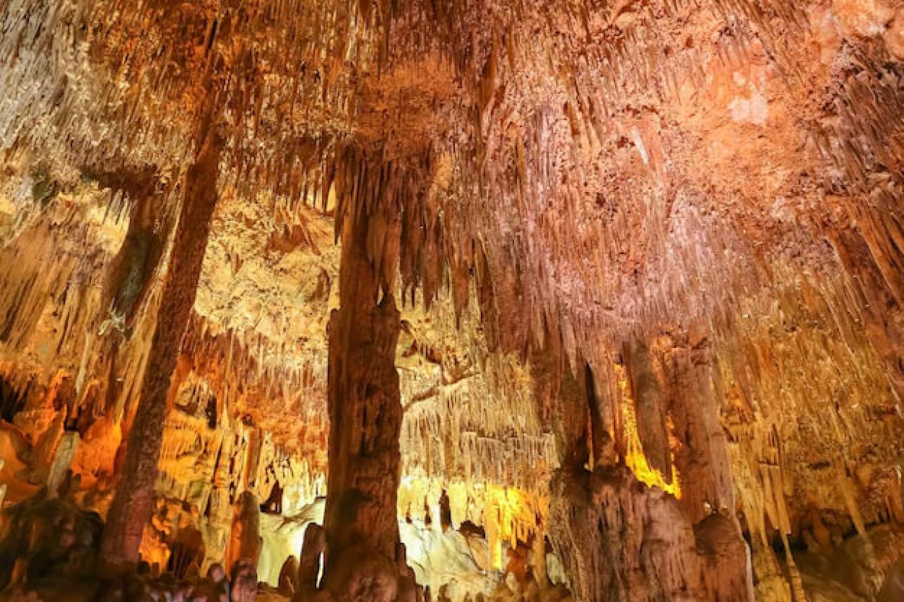 Antalya transfer profesyonel sürücü ve VIP hizmet