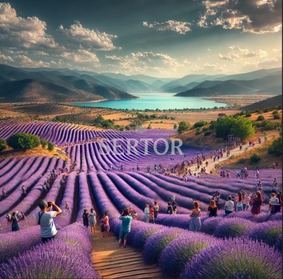 Kuyucak Lavender Fields VIP Transfer